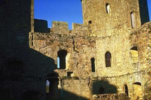 手軽な気持ちで一生の宝になる写真を撮る