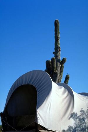 大阪市で快適なビジネス滞在を実現【東横INN新大阪駅東口】の魅力と詳細情報