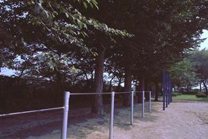 ゴルフ会員権の選び方と購入ガイド：信頼できる情報でスムーズな取引を実現する方法