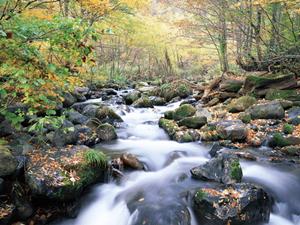 魅力的な宿泊体験を提供するJR九州ホテル宮崎