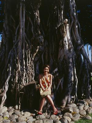 深い遊び方が出来る板橋本町のパチンコ屋