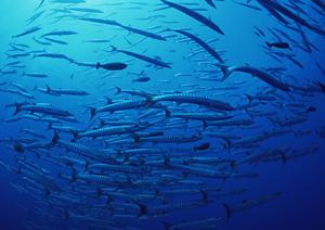 岐阜羽島駅近くの便利なビジネスホテル｜東横INN岐阜羽島駅新幹線南口の魅力と特徴