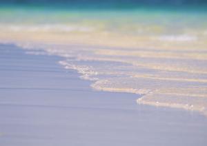 青森県八戸市のビジネスホテル【東横INN八戸駅前】：快適な滞在を実現する便利な宿泊施設
