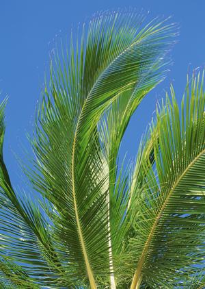 東京のホテルに泊まるならこちらです