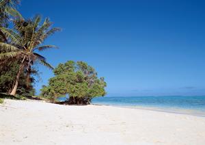 東横INN熊本城通町筋：熊本のビジネストラベルに最適な快適な宿泊体験を提供