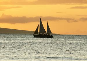 東京・江東区に位置する東横INN門前仲町永代橋の魅力と詳細情報