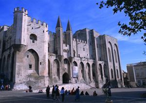 石垣島での星空観賞からナイトアクティビティまで！魅力満載のアクティビティガイド