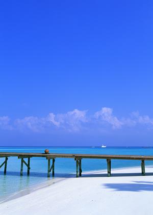 名古屋のビジネスと観光に最適な快適空間！東横INN名古屋駅新幹線口の魅力と特徴