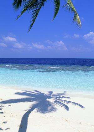 静岡県浜松市のビジネスホテル【東横INN浜松駅北口】の魅力と詳細情報