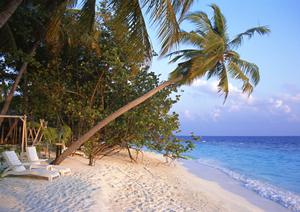 持続可能な観光を実現するための10の実践的アプローチと地域の魅力活用法