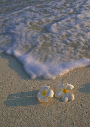 横浜駅から徒歩7分の快適なビジネスホテル【東横INN横浜駅西口】の魅力と詳細情報